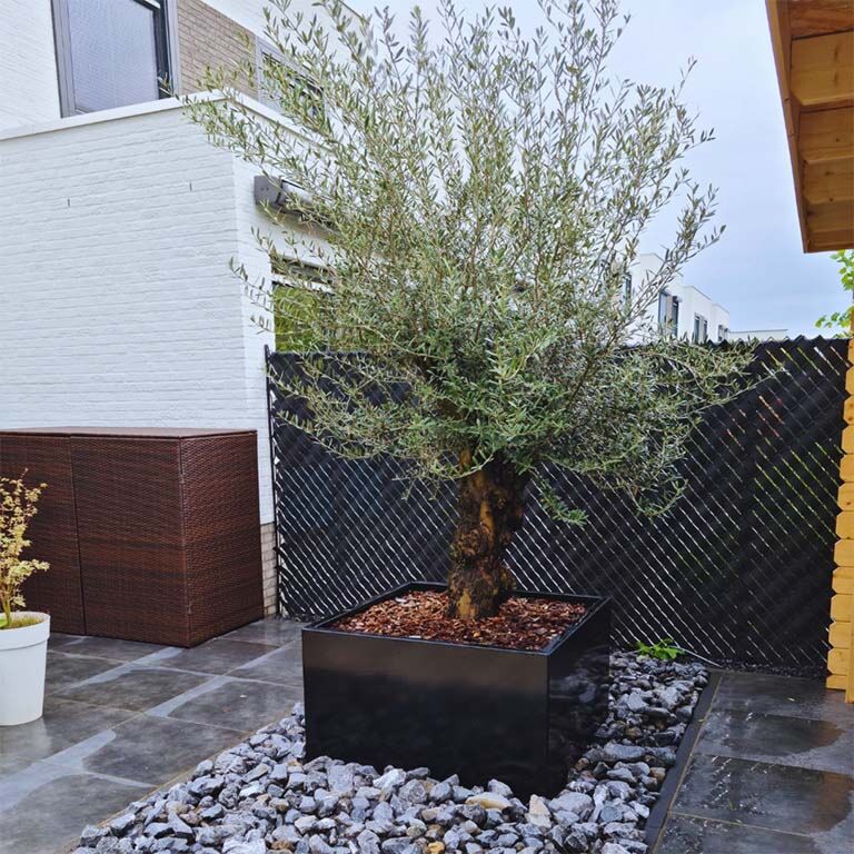 Donica stal malowana proszkowo Miami 100 x 100 cm
