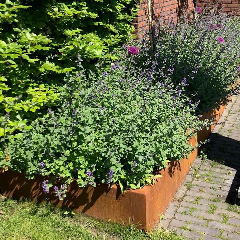 Prosta ściana oporowa ze stali corten 100 cm (wysokość 50 cm)