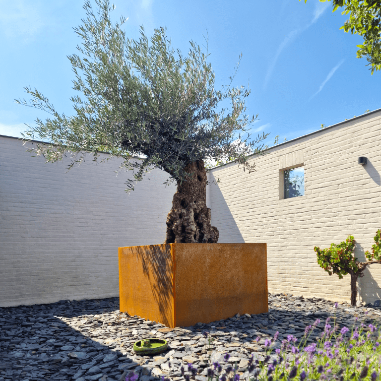 Spawana Donica ze stali corten Montana 100 x 100 x 80 cm