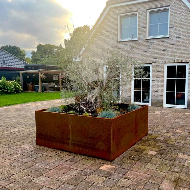 Donica ze stali corten Miami xxl 240 x 240 cm