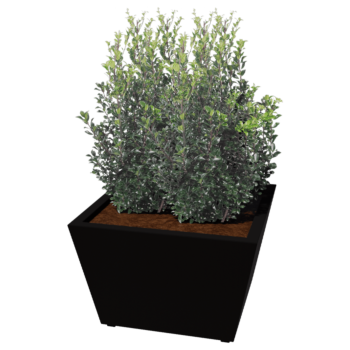 Donica ze stali - Stożkowa - 80 x 80 x 51,5 cm - Spawany - Inny kolor RAL - Z płytą dolną