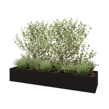 Stalowa donica XXL - Prostokątne - 200 x 50 x 30 cm - RAL9005 matowy (czarny) - Bez płyty dolnej