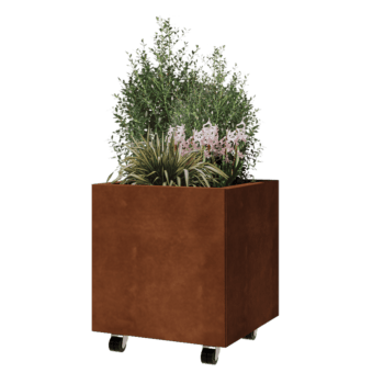 Donica ze stali corten - Kwadratowe - 50 x 50 x 50 cm - Z płytą dolną - Z kółkami