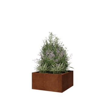 Donica ze stali corten - Kwadratowe - 60 x 60 x 30 cm - Z płytą dolną