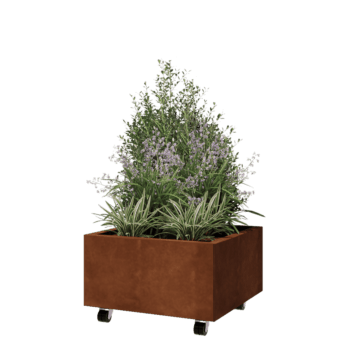 Donica ze stali corten - Kwadratowe - 60 x 60 x 30 cm - Z płytą dolną - Z kółkami