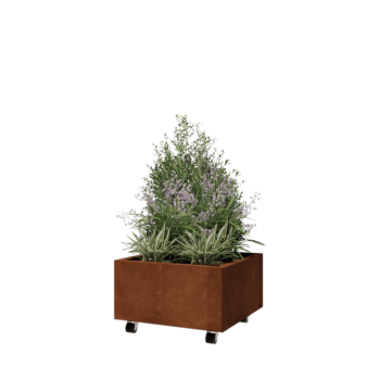 Donica ze stali corten - Kwadratowe - 60 x 60 x 30 cm - Z płytą dolną - Z kółkami