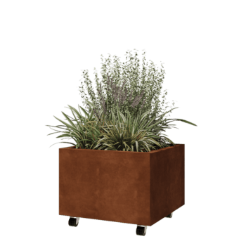 Donica ze stali corten - Kwadratowe - 60 x 60 x 40 cm - Z płytą dolną - Z kółkami