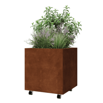 Donica ze stali corten - Kwadratowe - 60 x 60 x 60 cm - Z płytą dolną - Z kółkami