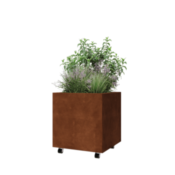 Donica ze stali corten - Kwadratowe - 60 x 60 x 60 cm - Z płytą dolną - Z kółkami