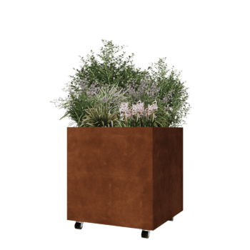Donica ze stali corten - Kwadratowe - 70 x 70 x 70 cm - Z płytą dolną - Z kółkami