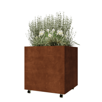 Donica ze stali corten - Kwadratowe - 80 x 80 x 80 cm - Z płytą dolną - Z kółkami