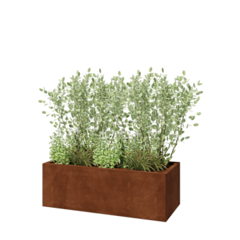 Donica ze stali corten - Prostokątne - 120 x 50 x 40 cm - Bez płyty dolnej