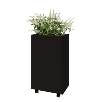 Stalowa donica - Prostokątne - 50 x 30 x 80 cm - RAL9005 matowy (czarny) - Z płytą dolną - Z kółkami