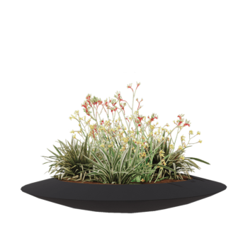 Donica poliestrowa - Misa - Ø 120 x 20 cm - RAL7021 matowy (czarny szary) - Z dnem