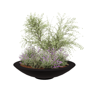 Donica poliestrowa - Misa - Ø 153 x 34 cm - RAL9005 matowy (czarny) - Z dnem