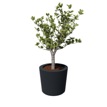 Donica poliestrowa - Stożkowy - Ø 63 x 52 cm - RAL7021 matowy (czarny szary) - Z dnem