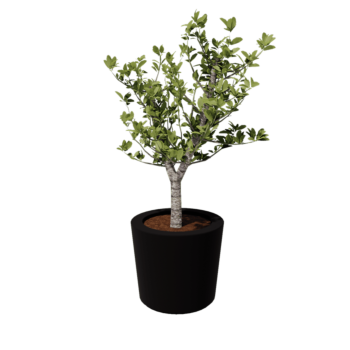 Donica poliestrowa - Stożkowy - Ø 63 x 52 cm - RAL9005 matowy (czarny) - Z dnem