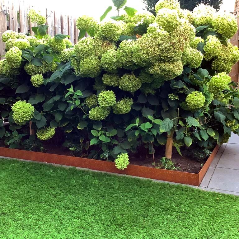 Zagięte obrzeże ogrodowe ze stali corten 13 cm (długość 150 cm)