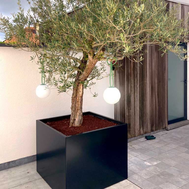 Donica stal malowana proszkowo Miami 100 x 100 cm