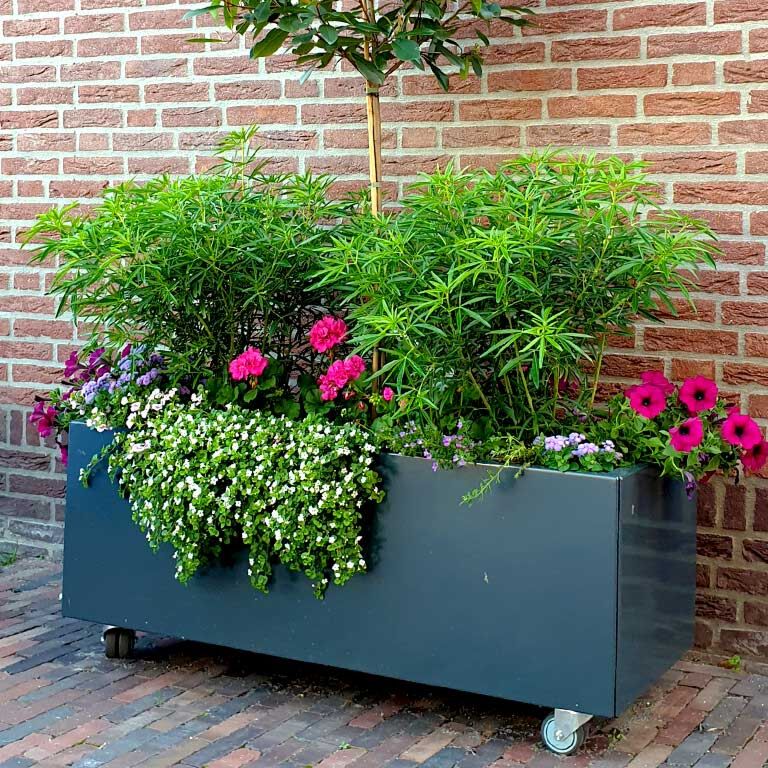 Donica stal malowana proszkowo Texas 50 x 120 cm