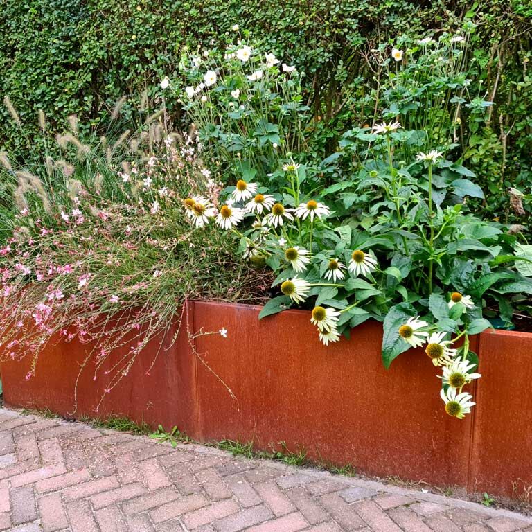 Donica ze stali corten Texas xxl 300 x 80 cm
