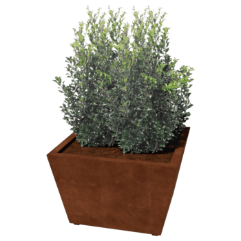 Spawana Donica ze stali corten Stożek 80 x 80 x 50 cm