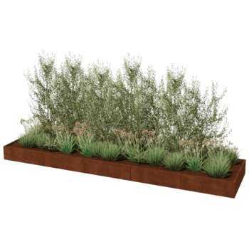 Donica ze stali corten Texas xxl 500 x 120 cm