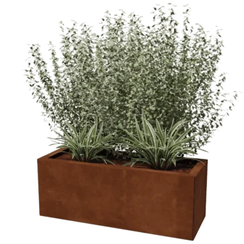 Donica ze stali corten - Prostokątne - 30 x 80 cm