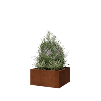 Donica ze stali corten - Kwadratowe - 60 x 60 x 30 cm - Bez płyty dolnej