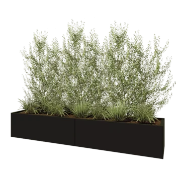 Stalowa donica XXL - Prostokątne - 240 x 50 x 40 cm - RAL9005 matowy (czarny) - Bez płyty dolnej