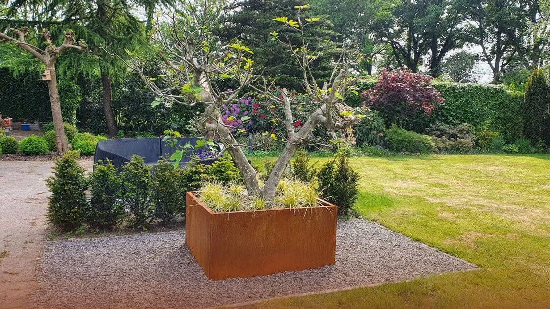 Czy stal cortenowa jest szkodliwa dla środowiska: ludzi, środowiska, roślin i zwierząt?