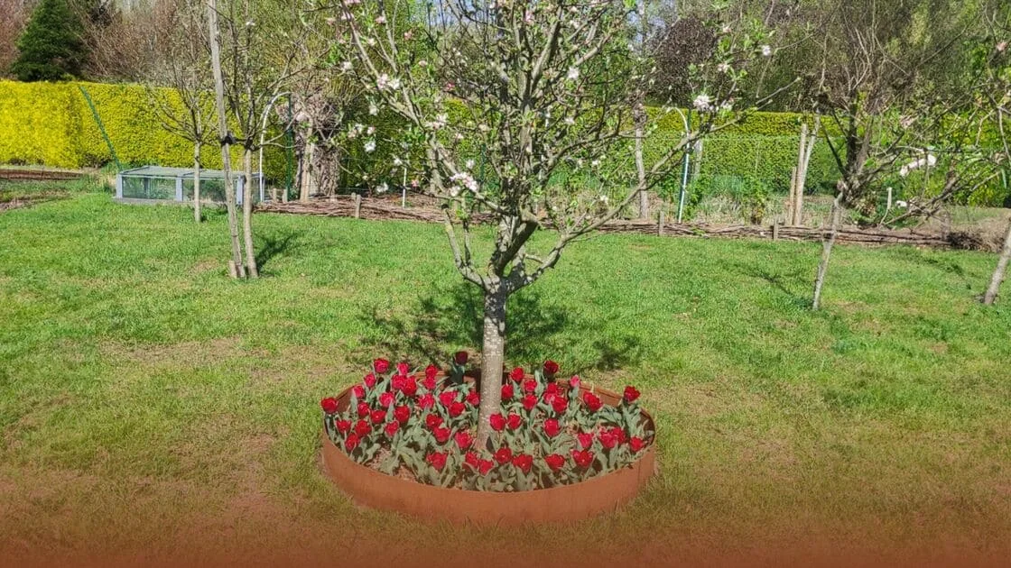 Jak zrobić obrzeże wokół drzewa?