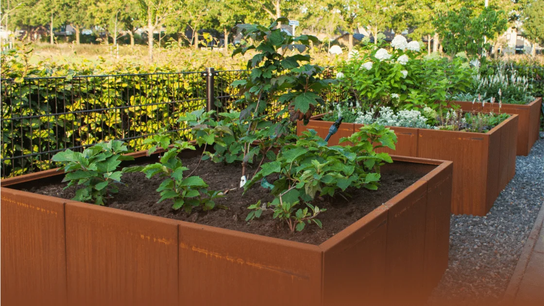 Cortenstal Gidl: wszystko, co chcesz wiedzieć o tym materiale