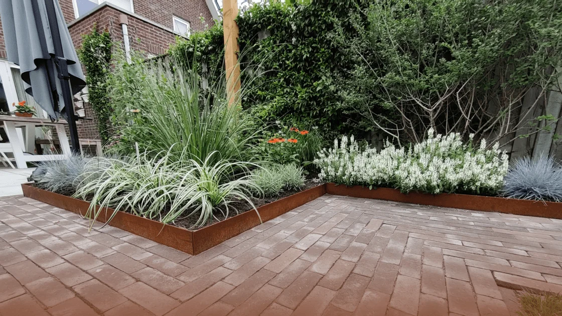 Jakie są różne rodzaje krawędzi bordera?